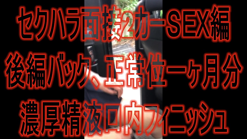 セクハラ面接2　カーＳＥＸ編part2　仕事が貰いたくて面接に行ったら。。 続編：外に押し出してフェラ、車内ＳＥＸで正常位、バッ