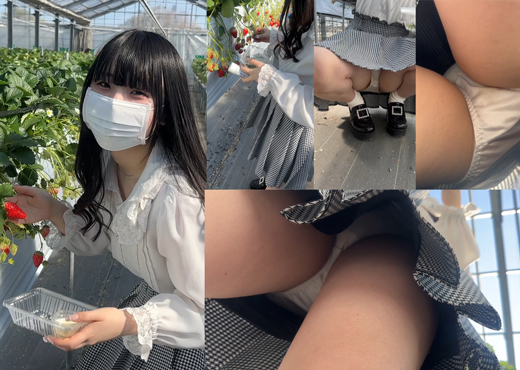 発育途上中のおっぱい芋子のイチゴ狩り染みパンチラ【パンチラ】【着替え】 gallery photo 1