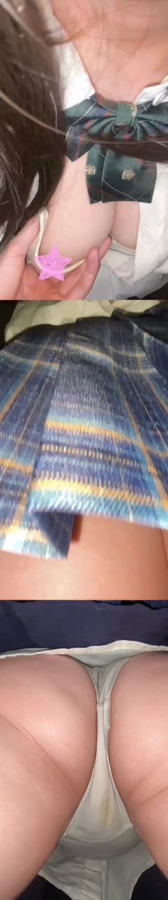 【満員乗車】巨乳優等生jkを圧迫パイ揉みお触り~されるがままで青春にトラウマを与える~