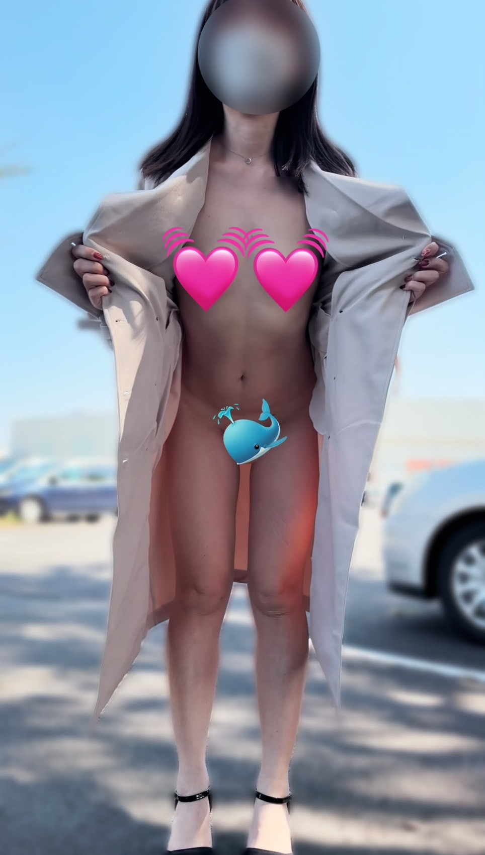 【あまり説明はいらない動画です】
