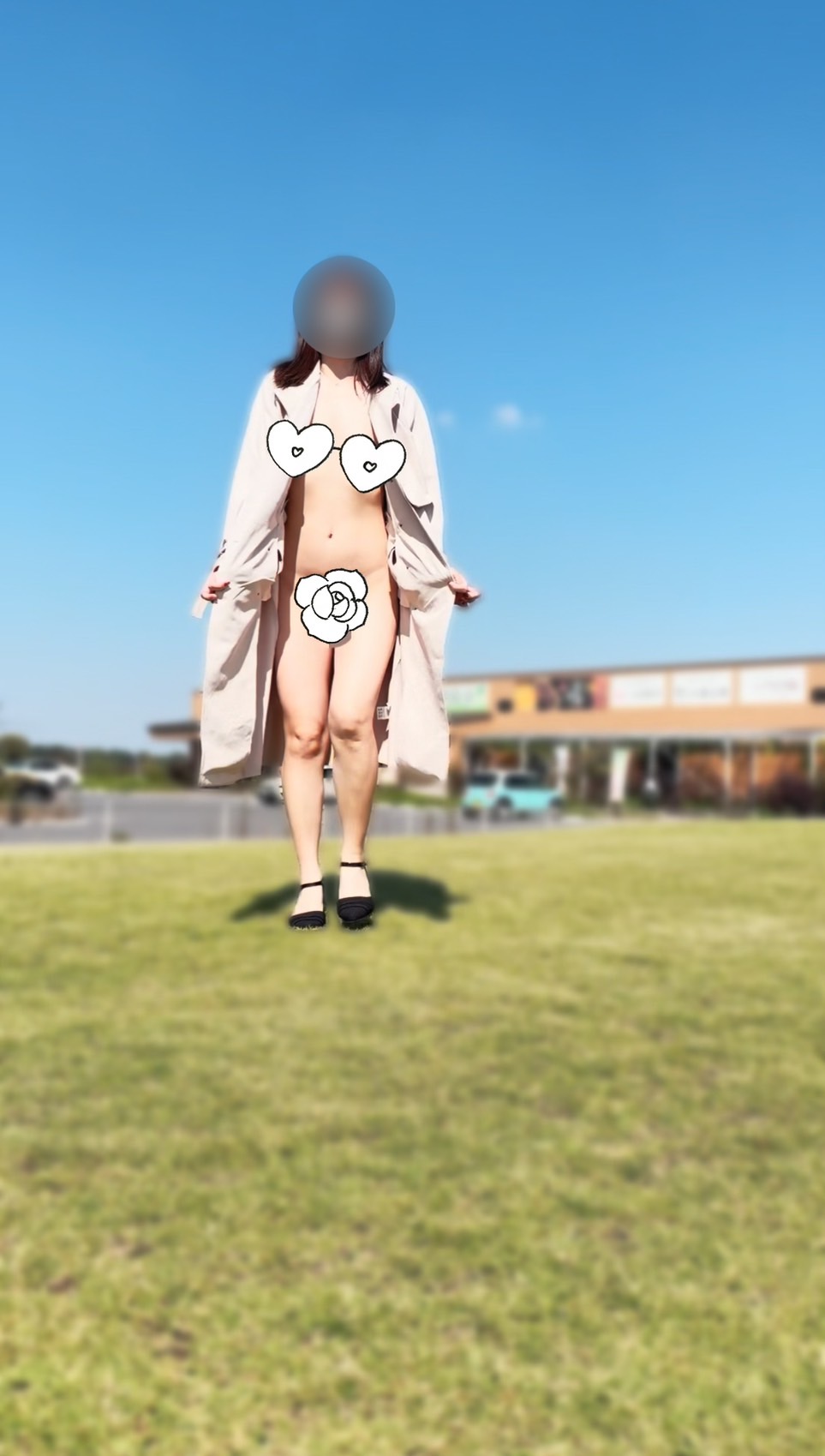 【あまり説明はいらない動画です】