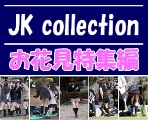 JKcollection　お花見特集編