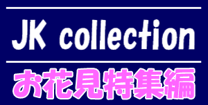 JK collection　お花見特集編