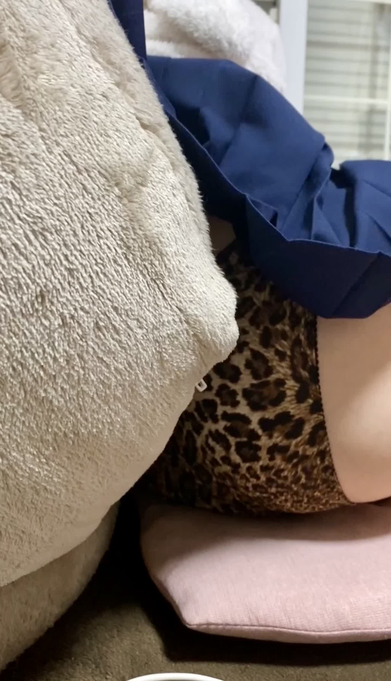 (パンチラ)娘の制服から見えた豹柄