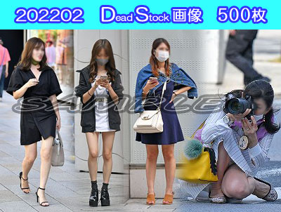 DS画像 202202版