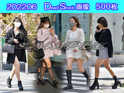 DS画像 202206版