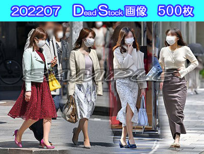 DS画像 202207版