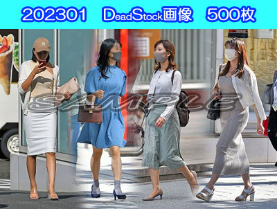 DS画像 202301版