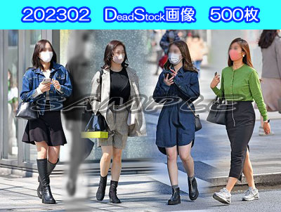 DS画像 202302版