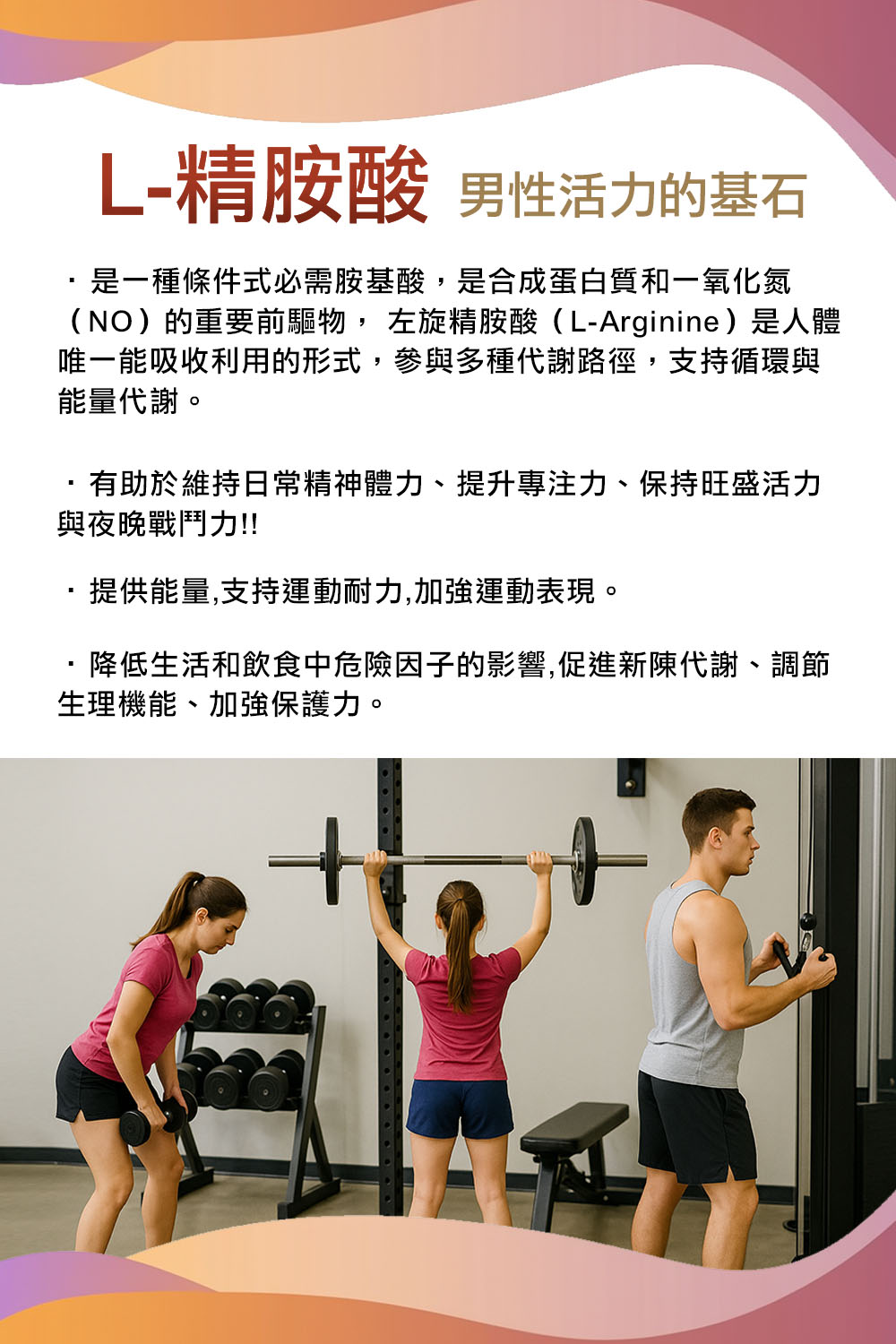 精胺酸 長條圖-2.jpg