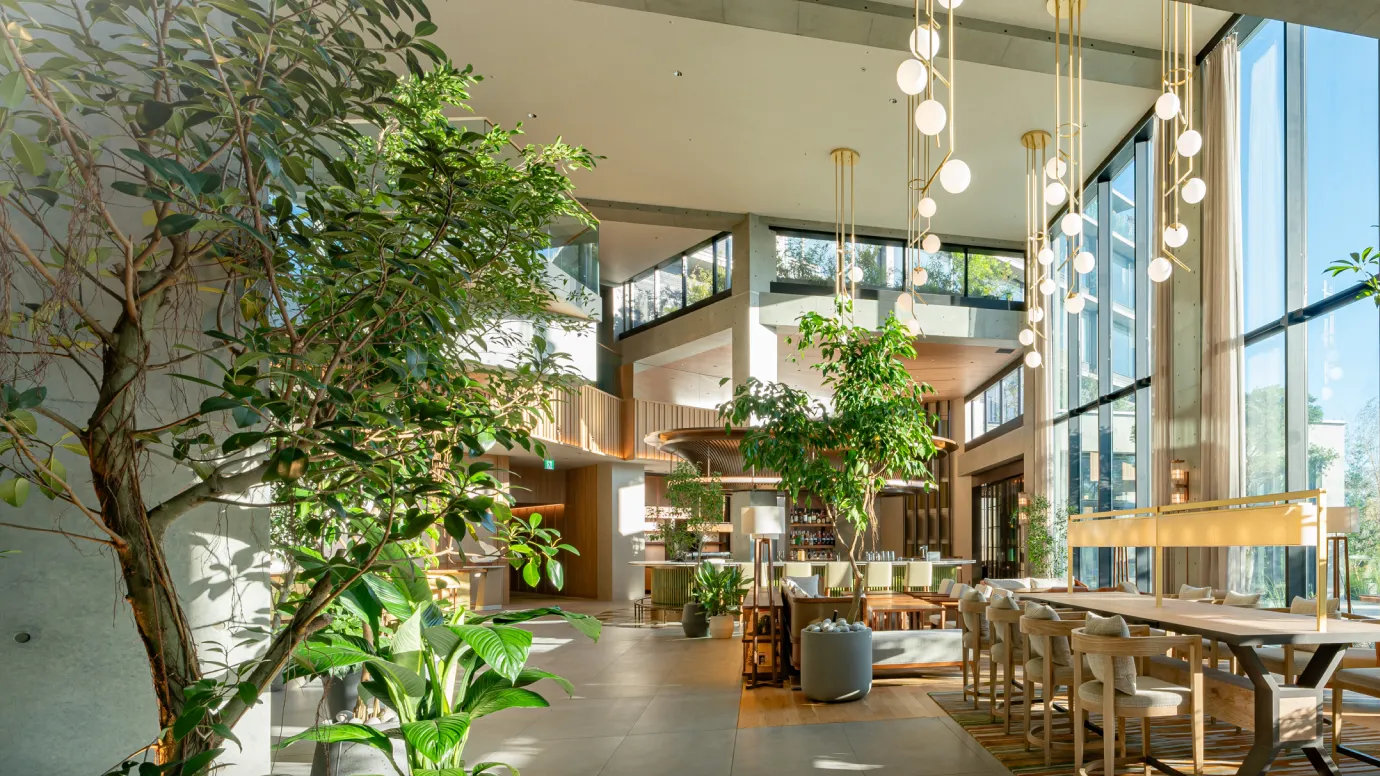 靜岡櫻花五日｜濱名湖花卉節 × 茶香療癒 × 美人湯海景奢宿