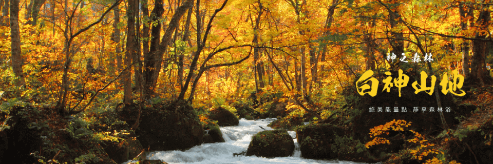 五能線白神山地秘境．奧入瀨楓杏翩翩七日