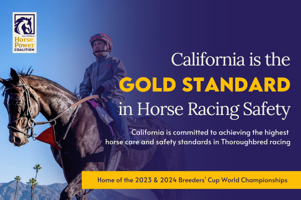 CALIFORNIA HORSE POWER COALITION