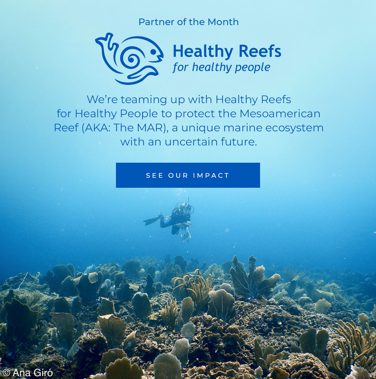 We’re teaming up with Healthy Reefs for Healthy People to protect the Mesoamerican Reef (AKA: The MAR), a unique marine ecosystem with an uncertain future.