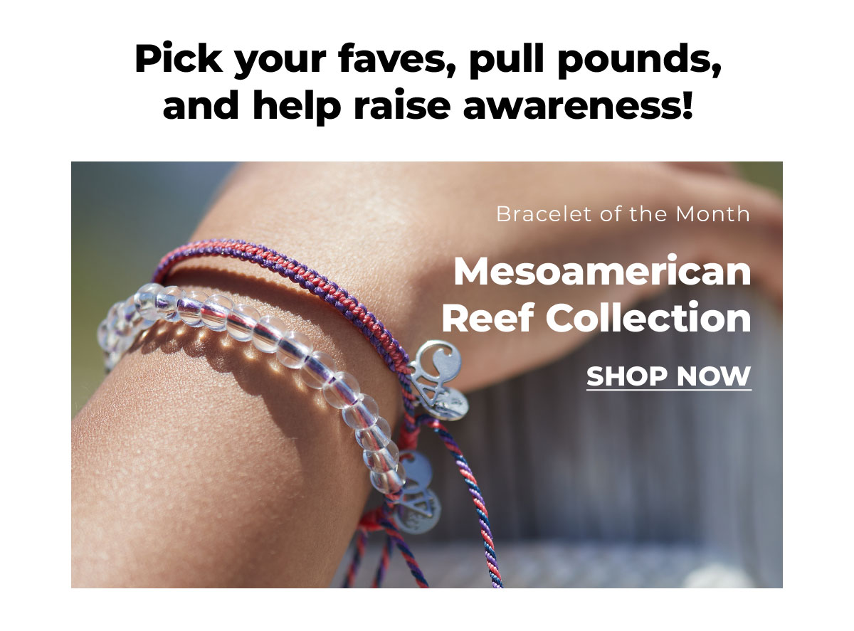Pick your faves, pull pounds, and help raise awareness! Bracelet of the Month: Mesoamerican Reef