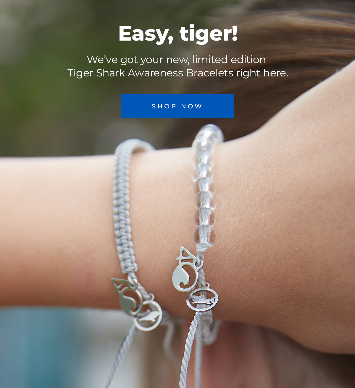 Easy, tiger!  We’ve got your new, limited edition  Tiger Shark Awareness Bracelets right here.