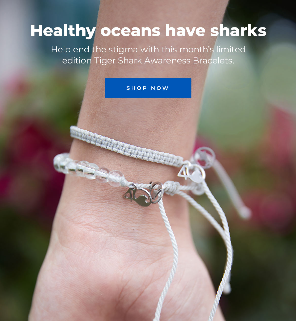 Healthy oceans have sharks. Help end the stigma with this month’s limited edition Tiger Shark Awareness Bracelets. Shop Now