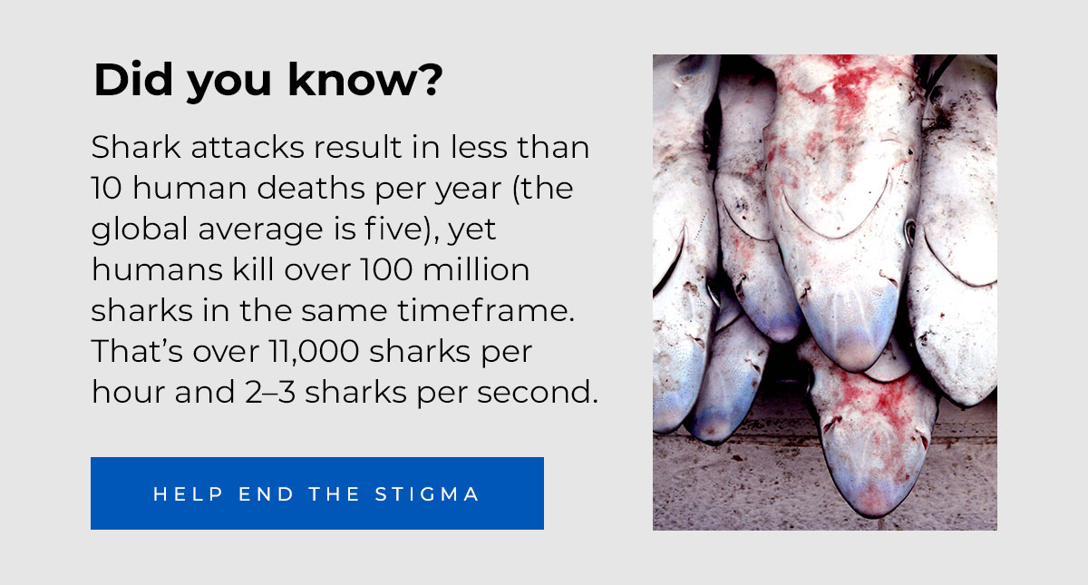 Did you know? Shark attacks result in less than 10 human deaths per year (the global average is five), yet humans kill over 100 million sharks in the same timeframe. That’s over 11,000 sharks per hour and 2–3 sharks per second. Help End the Stigma