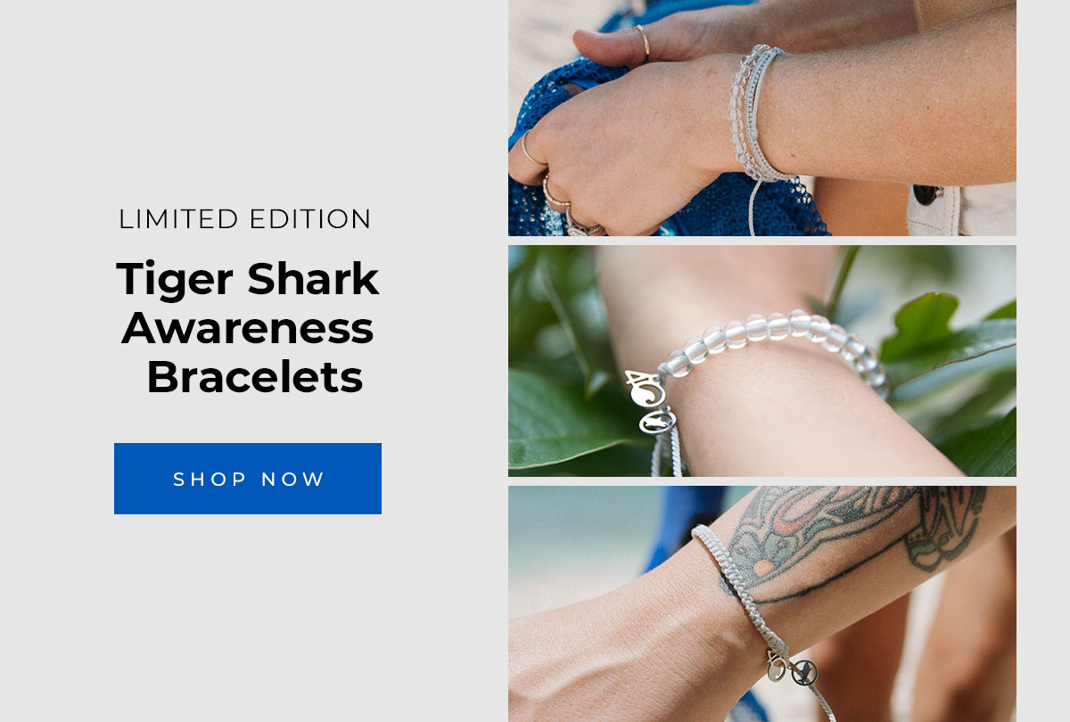 Limited edition tiger shark awareness bracelets.