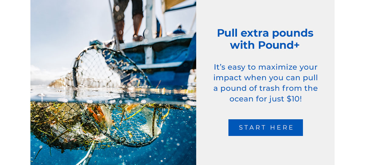 Pull extra pounds with Pound+. It’s easy to maximize your impact when you can pull a pound of trash from the ocean for just $10! Start Here →