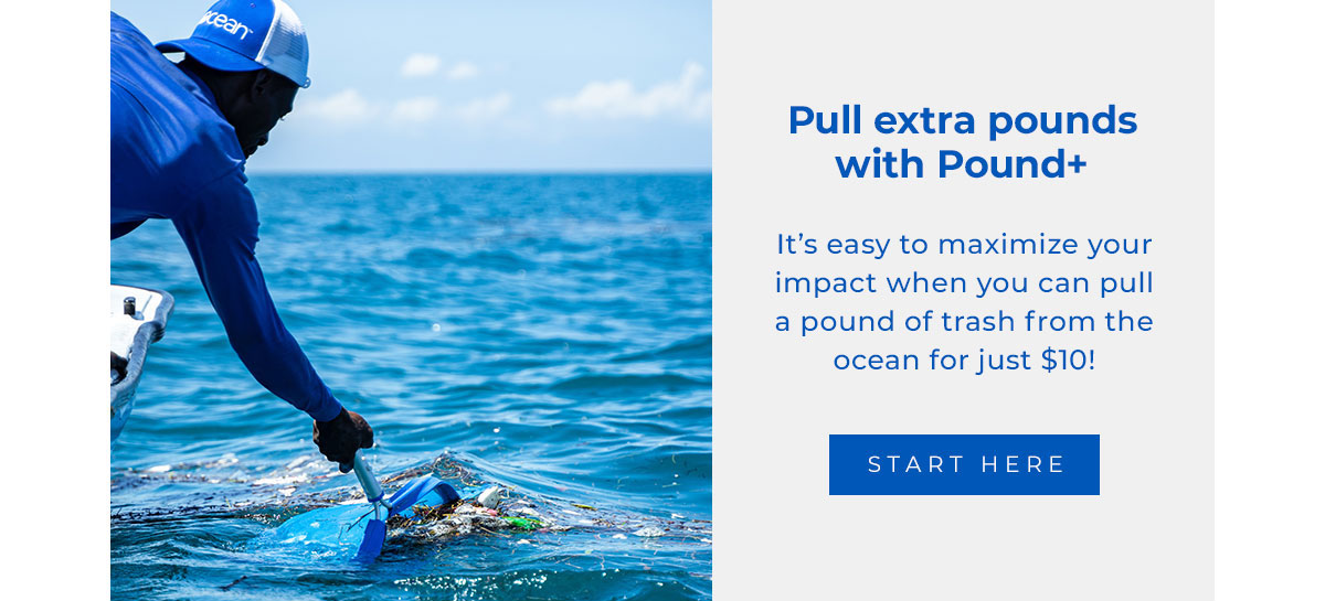 Pull extra pounds with Pound+. It’s easy to maximize your impact when you can pull a pound of trash from the ocean for just $10! Start Here →