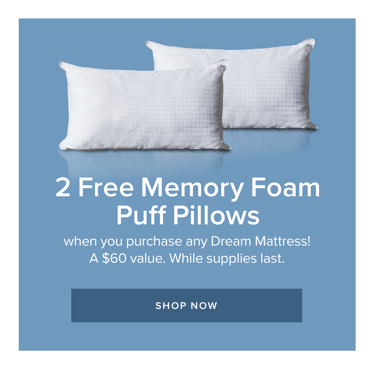 2 Free Memory Foam Puff Pillows