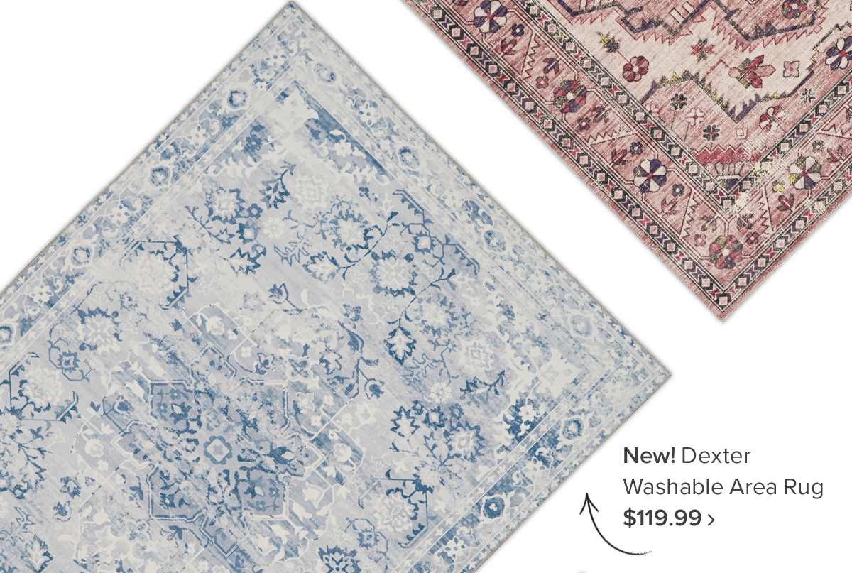 New! Dexter Washable Area Rug
