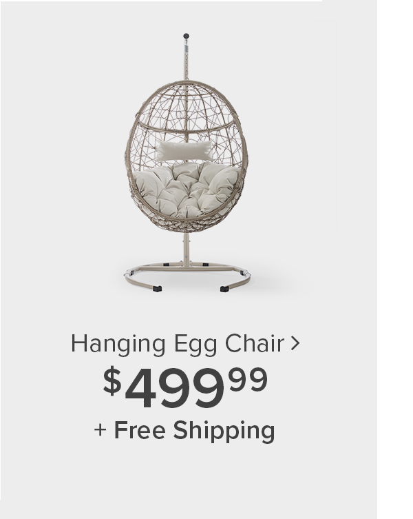 Shop Hanging Egg Chair
