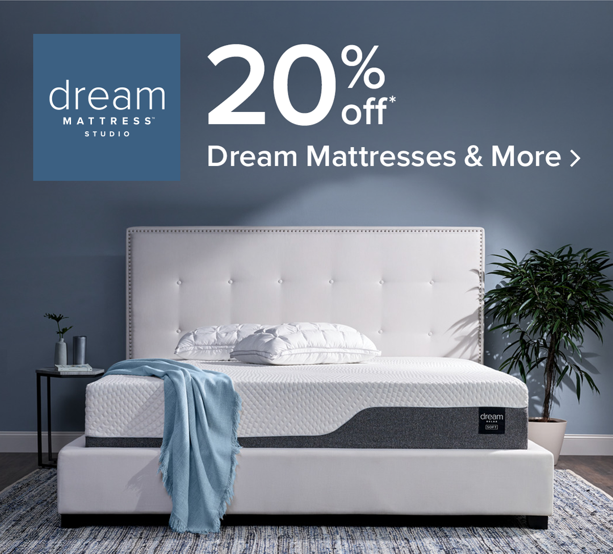 Shop Dream Mattress