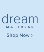 Shop Dream Mattress