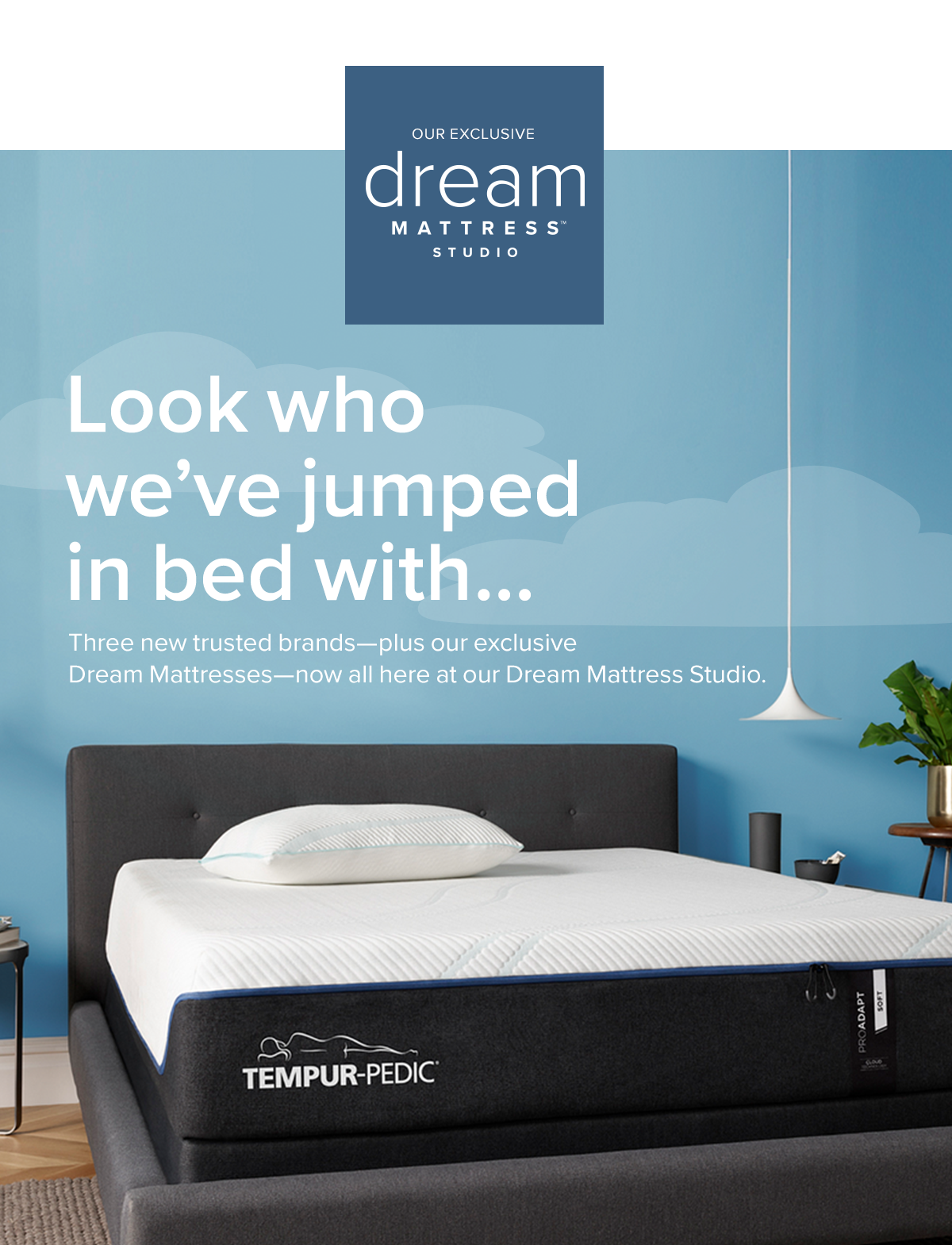 Shop Dream Mattress