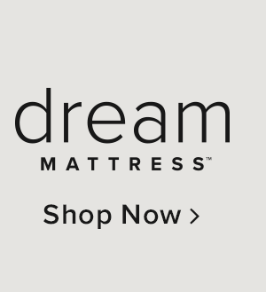 Shop Dream Mattress