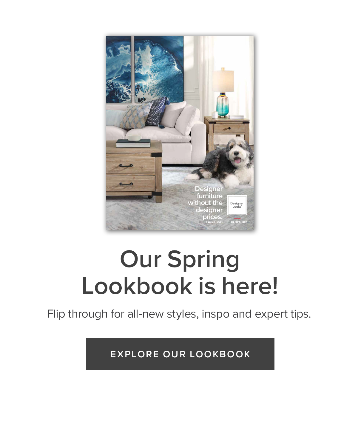 Our Spring Lookbook is here! Flip through for all-new styles, inspo and expert tips.