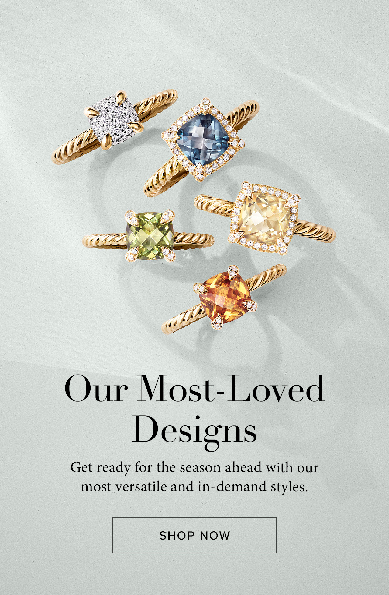 SHOP NOW