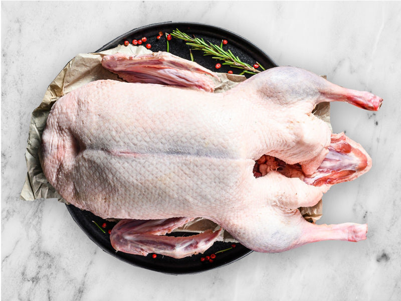 pasture-raised duck