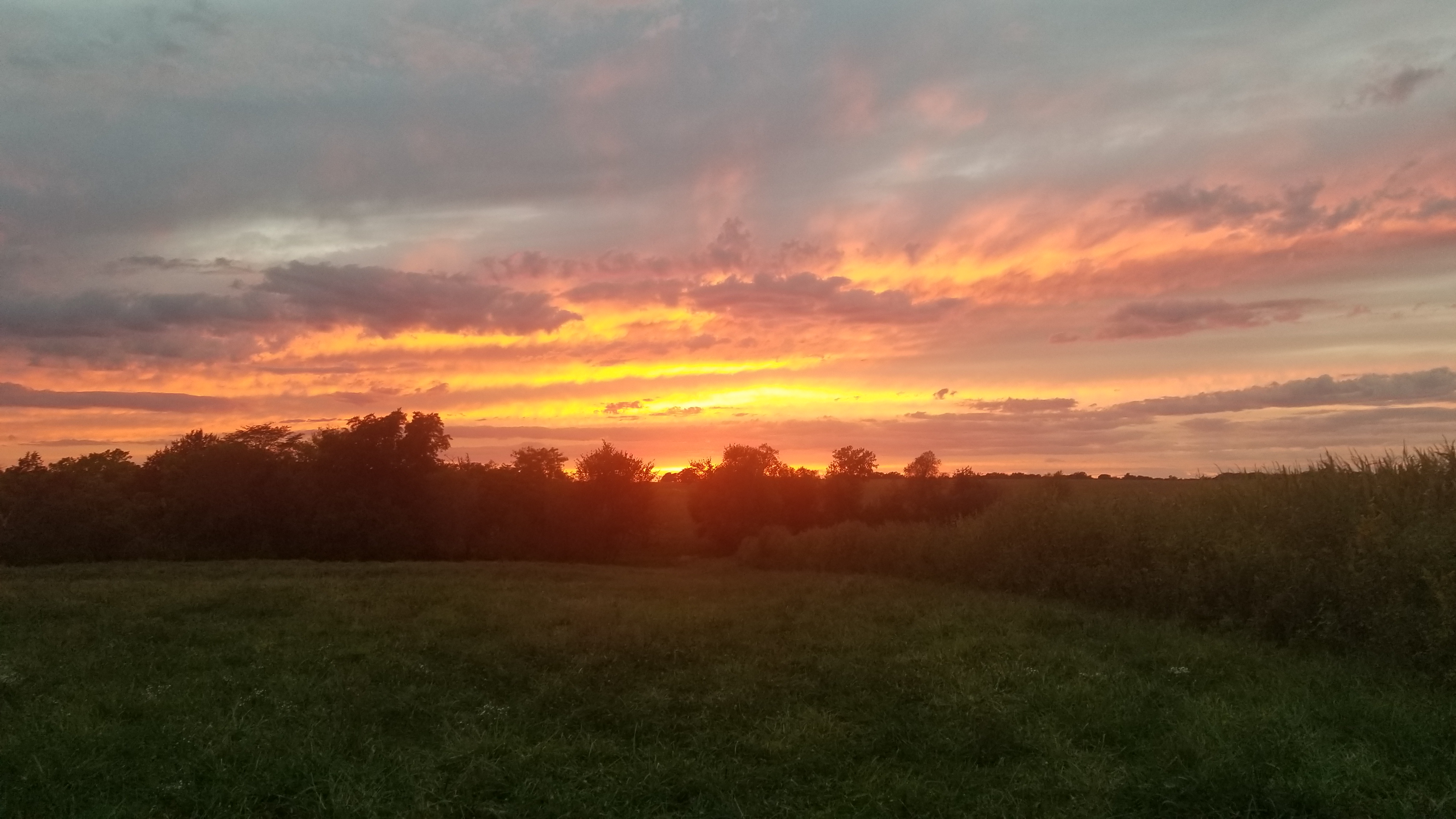 sunset, farm