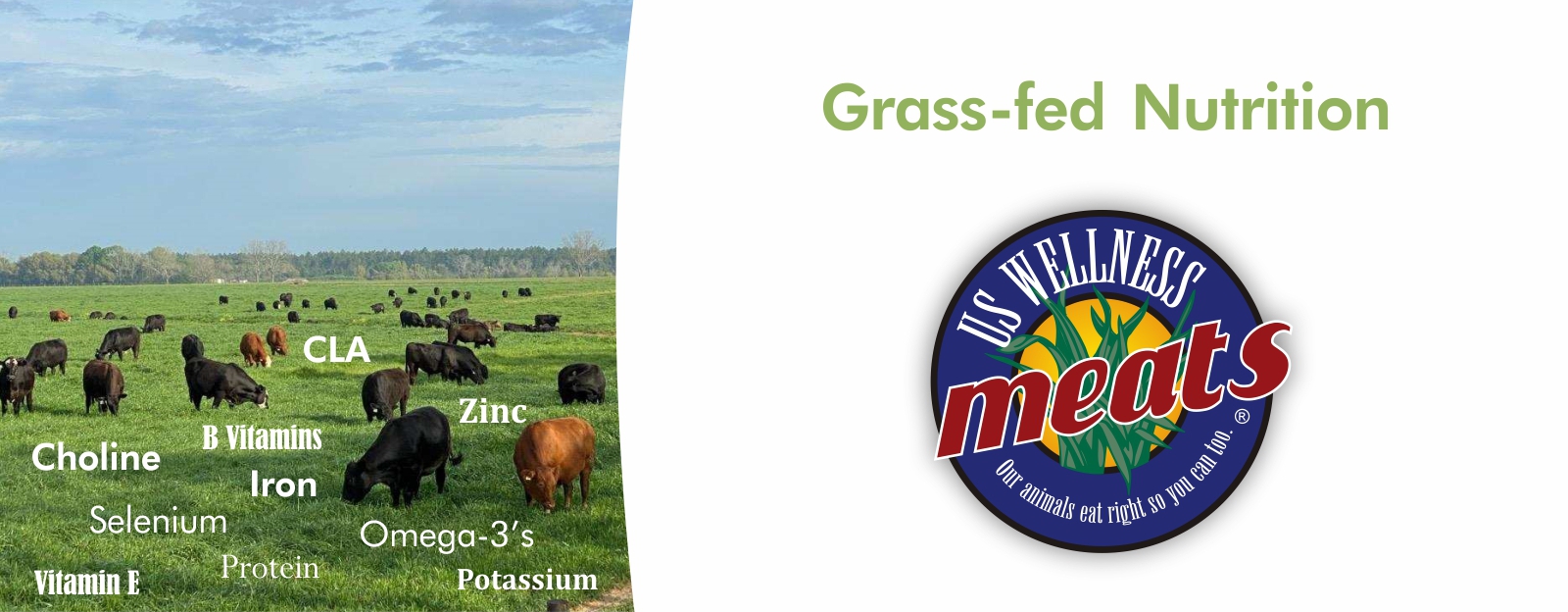grass-fed nutrition