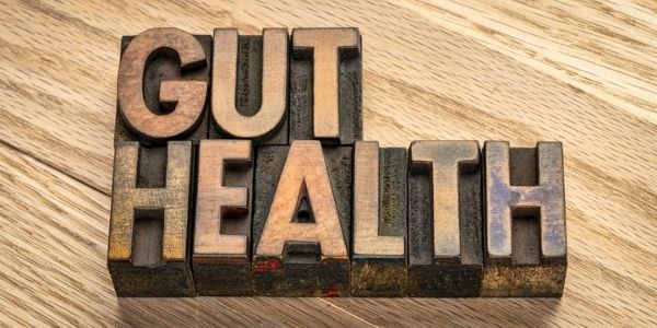 gut health