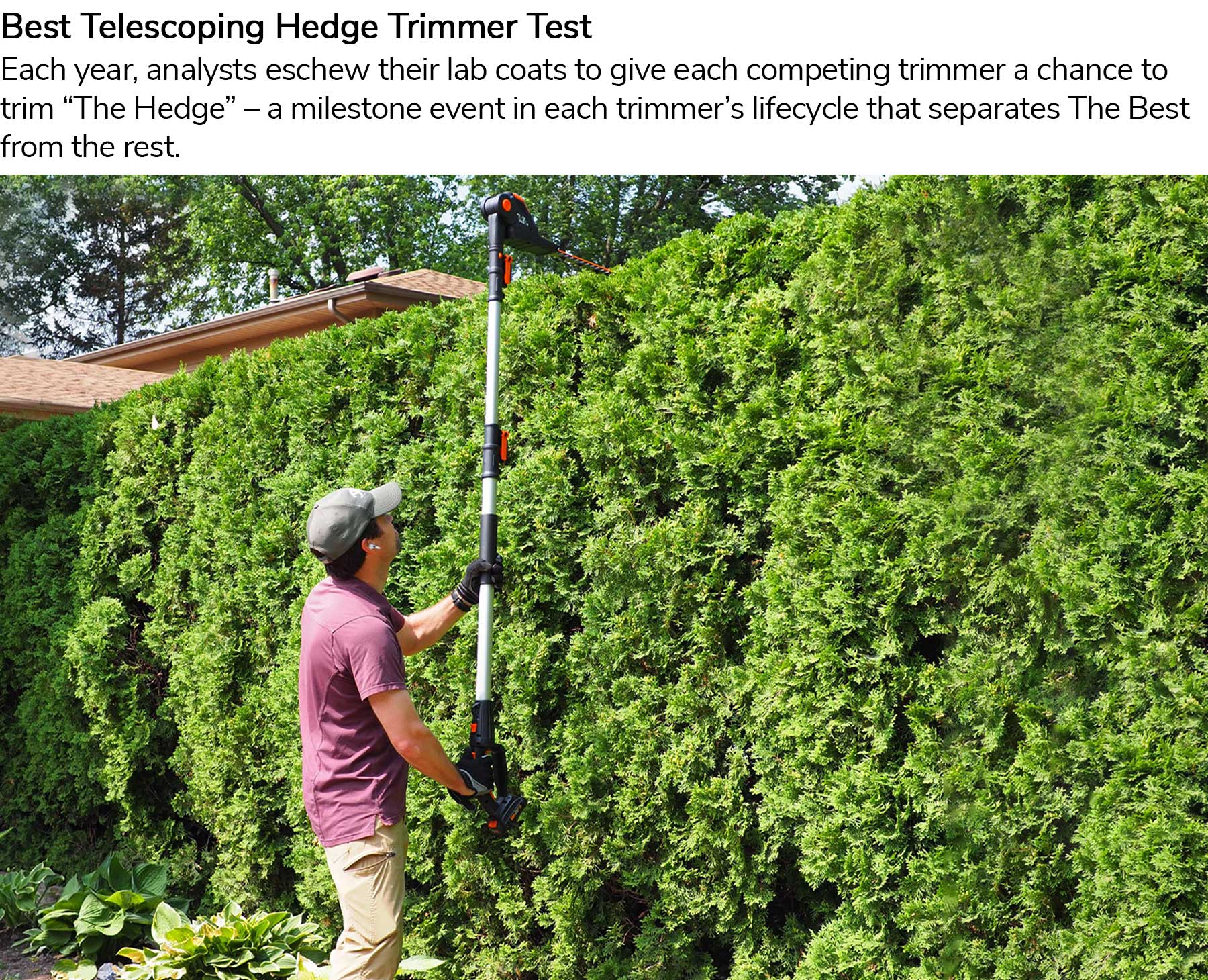 Best Telescoping Hedge Trimmer Test