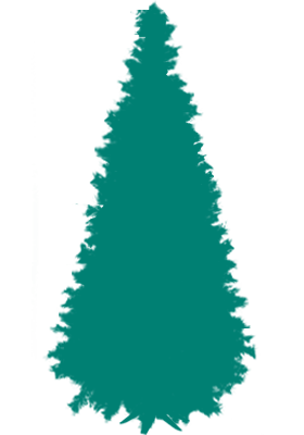 Medium Tree