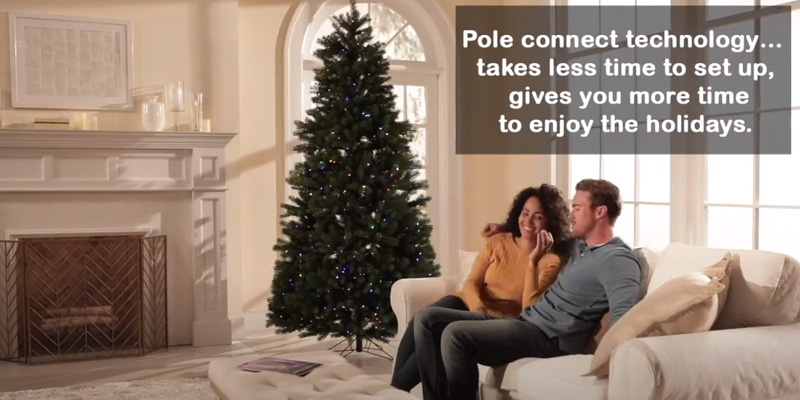 Full tree with lights on Full tree with lights on