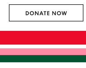 Donate Now