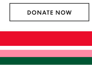 Donate Now 