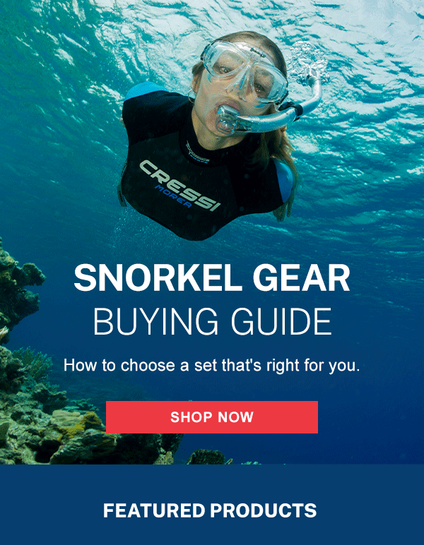 Open To See Our Snorkel Gear Buying Guide Leisure Pro