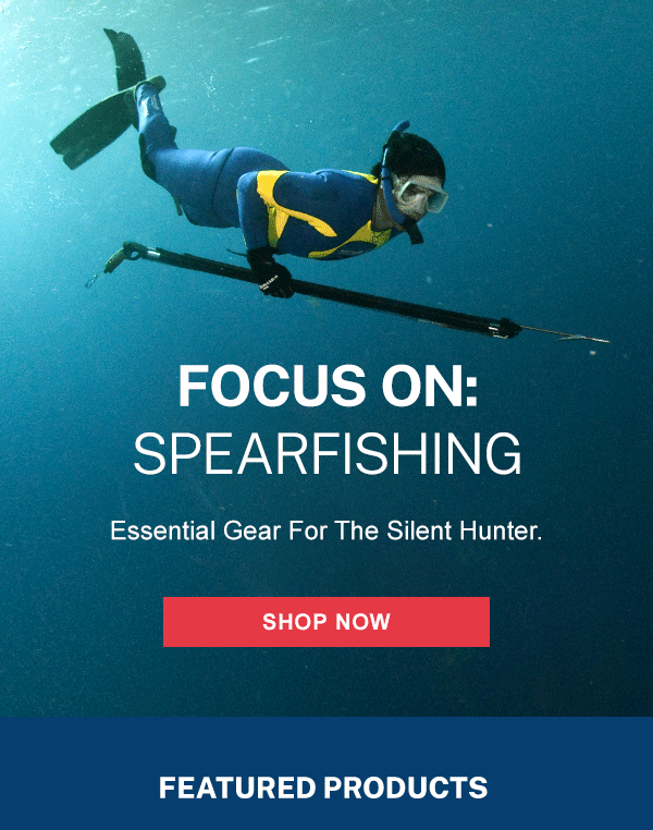 Spearfishing Gear Essentials Leisure Pro