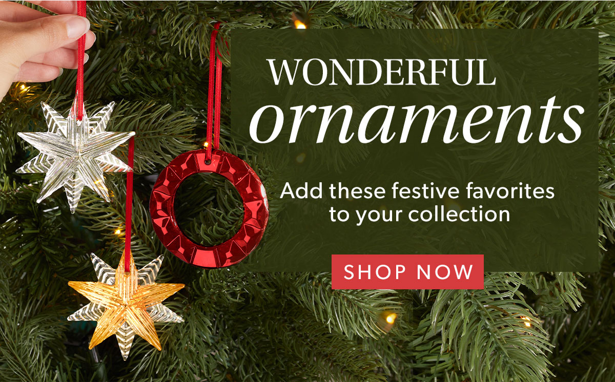 Wonderful Ornaments. Shop Now