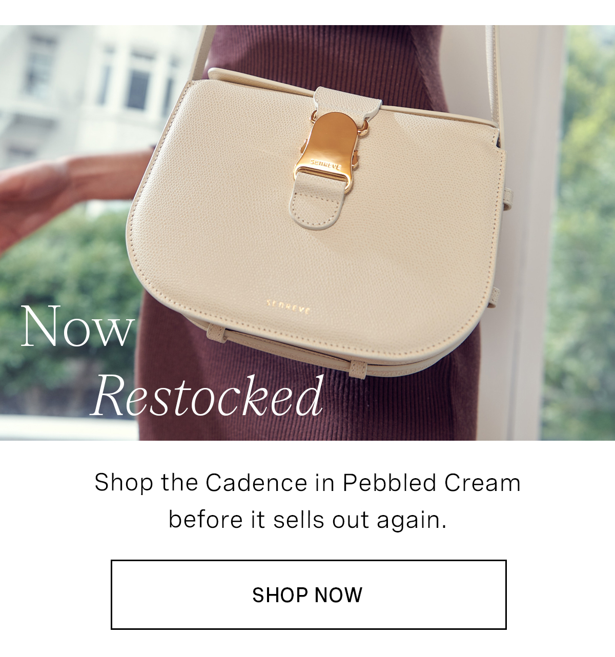 Not sponsored) The new Cadence Shoulder bag from #senreve #luxurybag  #shoulderbag 