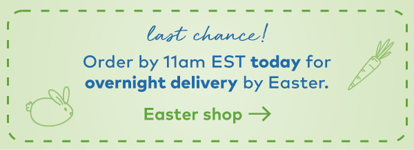 Lasy Chance! Order by 11am EST Today for overnight deliver by Easter. Easter shop.