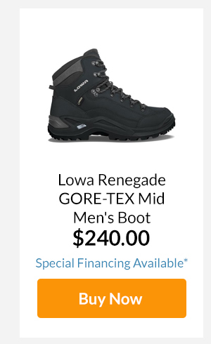 Lowa Renegade GORE-TEX Mid Men's Boot