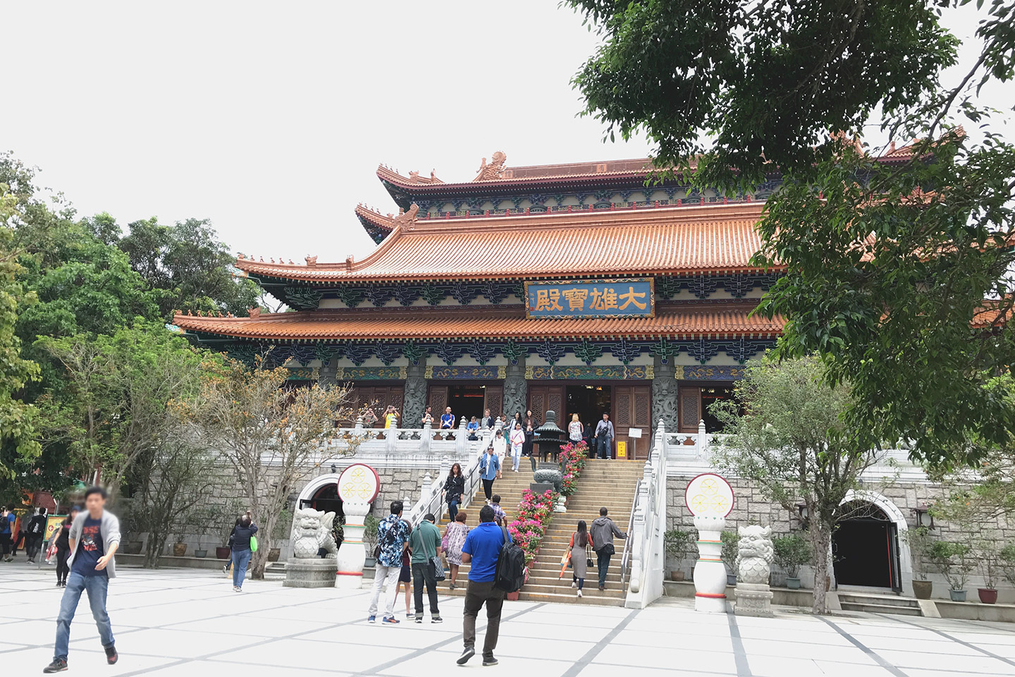 寶蓮禪寺 Po Lin Monastery